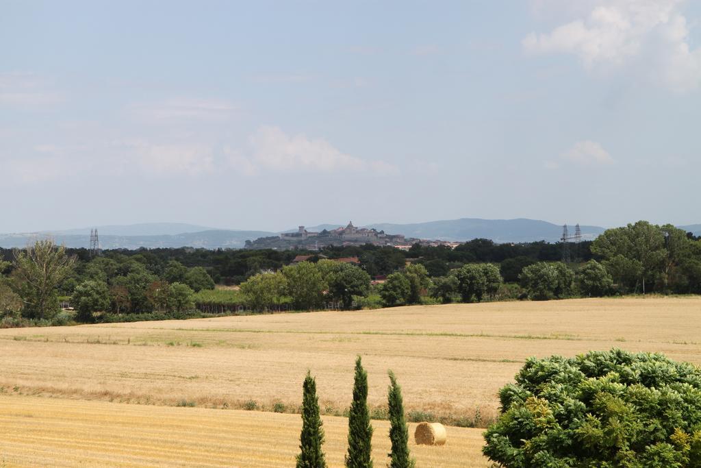 Agriturismo Verbena Castiglione del Lago Luaran gambar