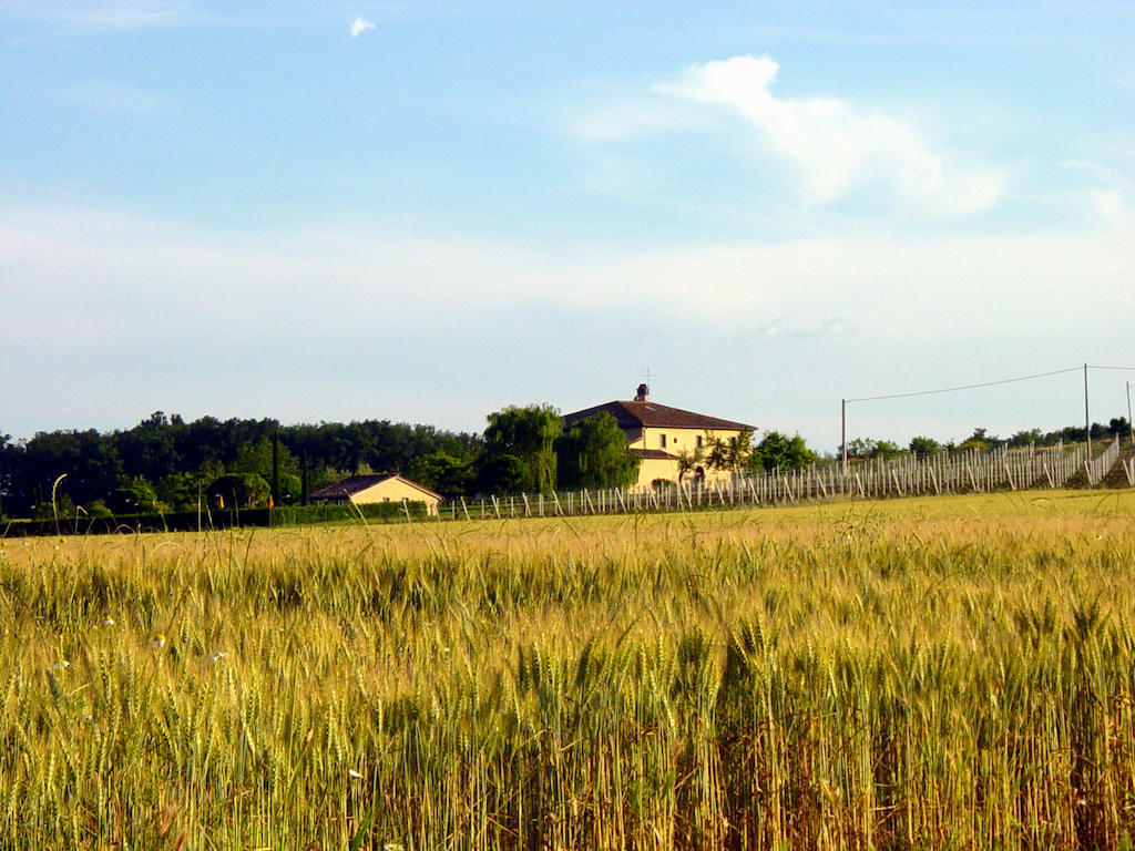 Agriturismo Verbena Castiglione del Lago Luaran gambar