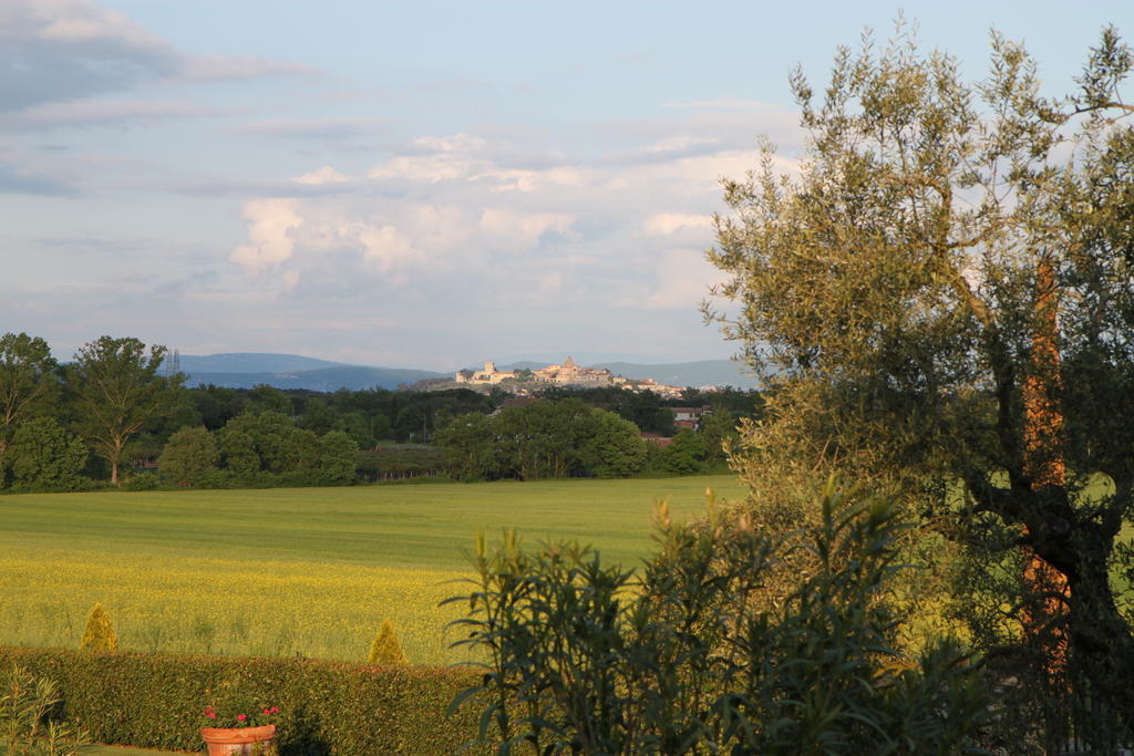 Agriturismo Verbena Castiglione del Lago Luaran gambar