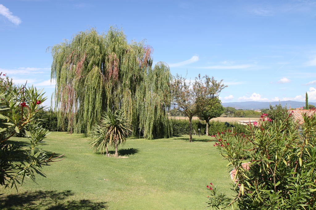 Agriturismo Verbena Castiglione del Lago Luaran gambar