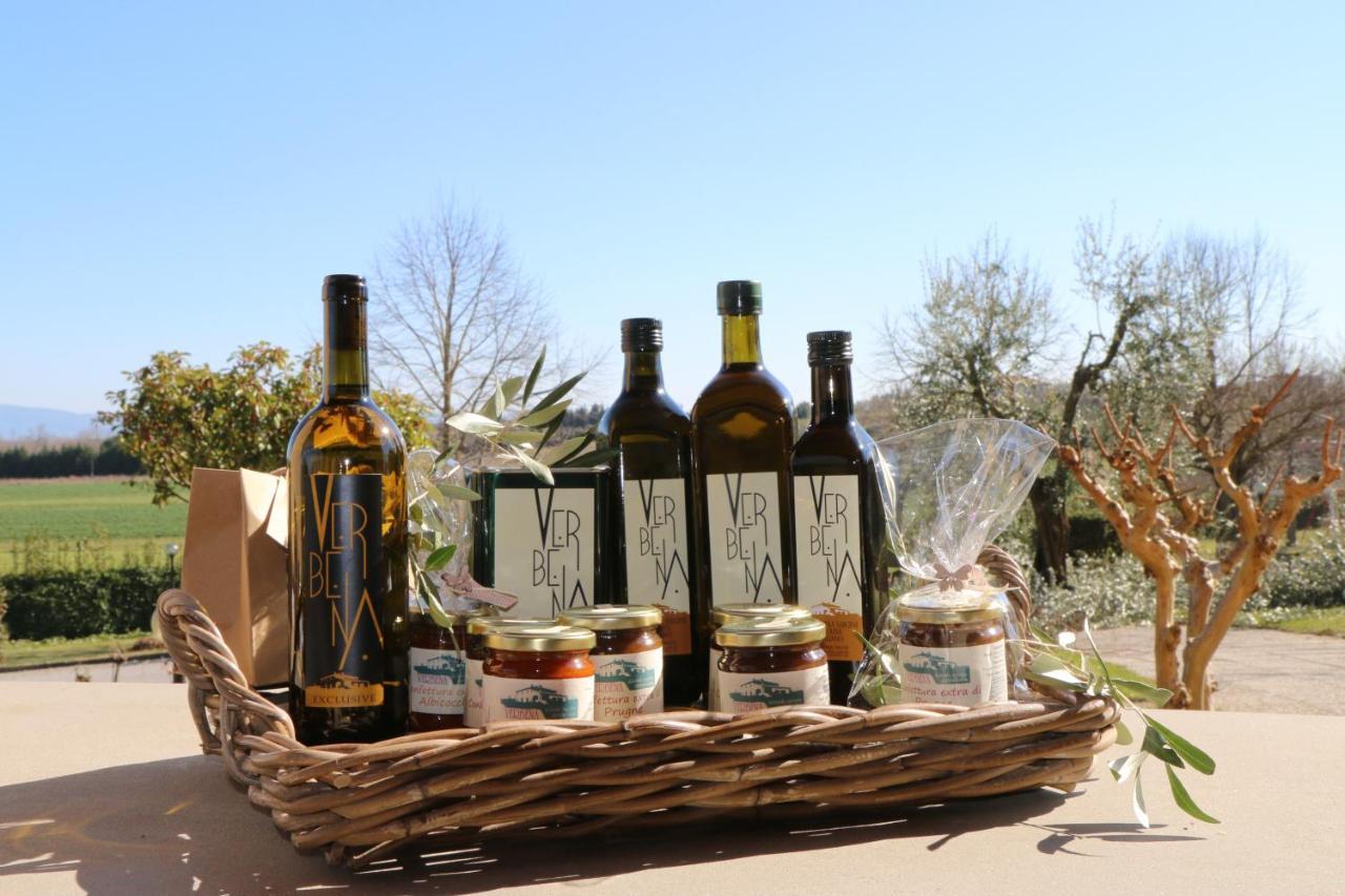Agriturismo Verbena Castiglione del Lago Luaran gambar